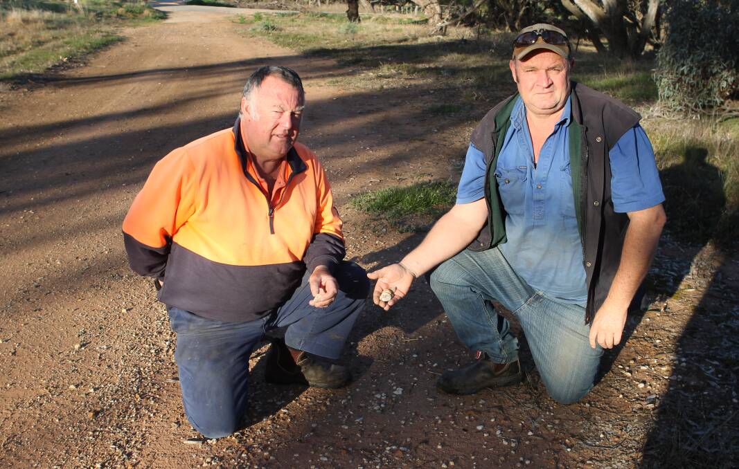 CULTURAL HERITAGE: Boort district farmers Jack Cain and Darren Allison with quartz chips they said were similar to those regarded as having cultural significance.