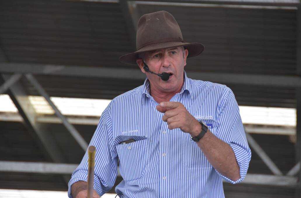 GOOD CROWD: Phil Douglas, Charles Stewart Dove Colac, works the crowd, at the start of the annual Colac weaner sale.