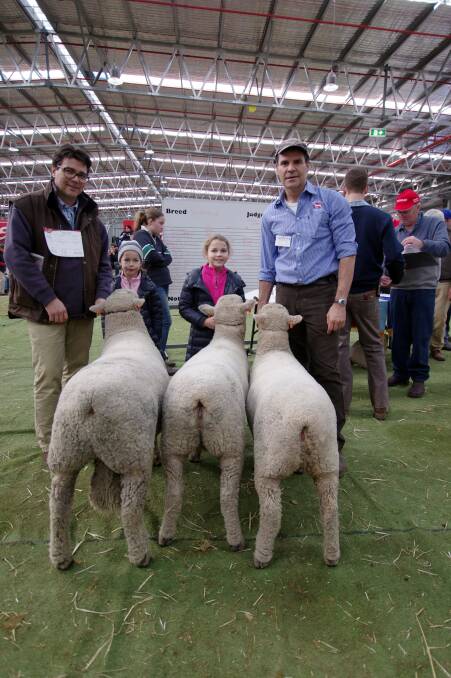 RAM AND EWES: Chandpara Southdown stud principals, Richard, Tessa, Eloise and Richard Sellars-Jones, from Tylden, with their team of one ram and two ewes, awarded second place in that class.