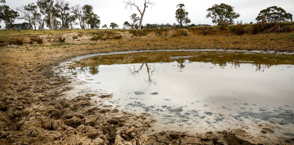 DRY TIMES: The Victorian Farmers Federation has welcomed increased funding for containment areas but says it must go further. Photo: Eddie Jim.