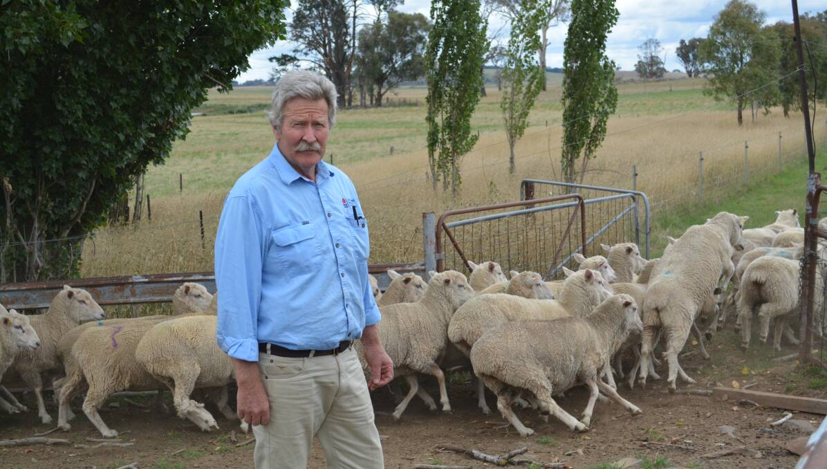 BARBER'S POLE: Vet Bruce Watt has warned about an increase in sheep deaths.
,