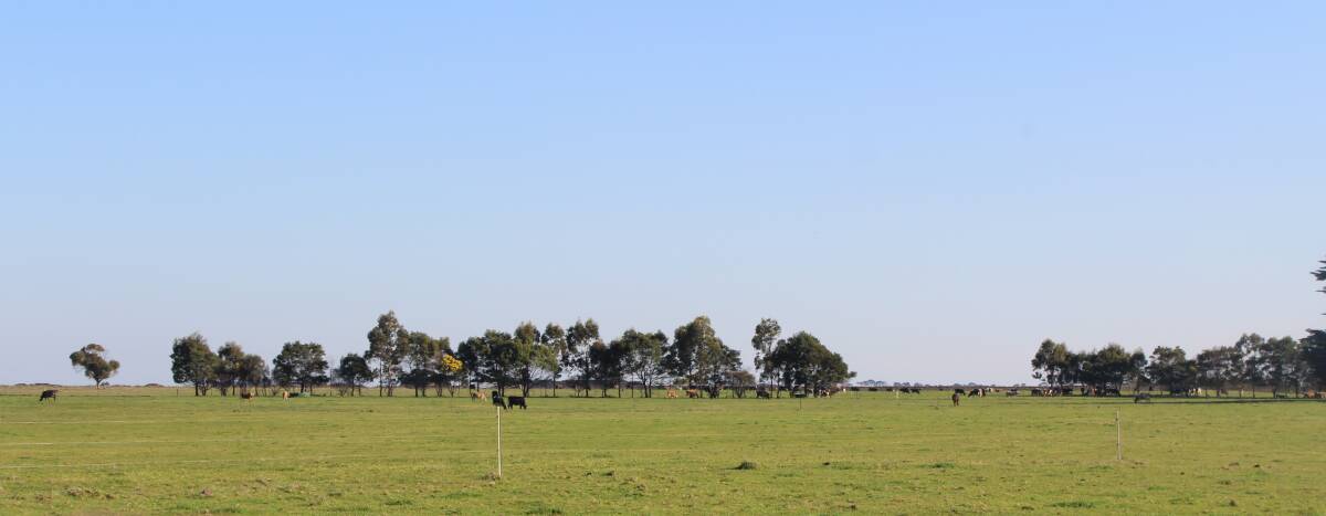 TRADING HALT: Dairying country, in South Western Victoria.