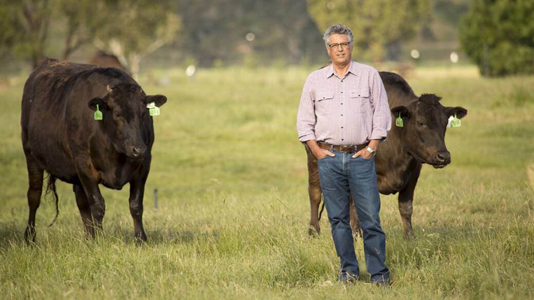 RIGHT-TO-FARM: David Blackmore, Wagyu producer, fought the Murrindindi Shire council over an intensive animal husbandry permit; he welcomed the changes to the planning laws. 