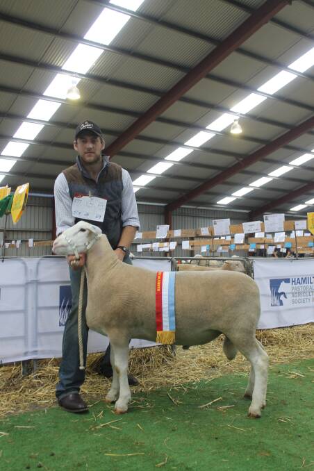 NEW RECORD: Anden co-principal Joel Donnan and the record priced White Suffolk ram at Sheepvention. Picture: Laura Griffin.
 

 