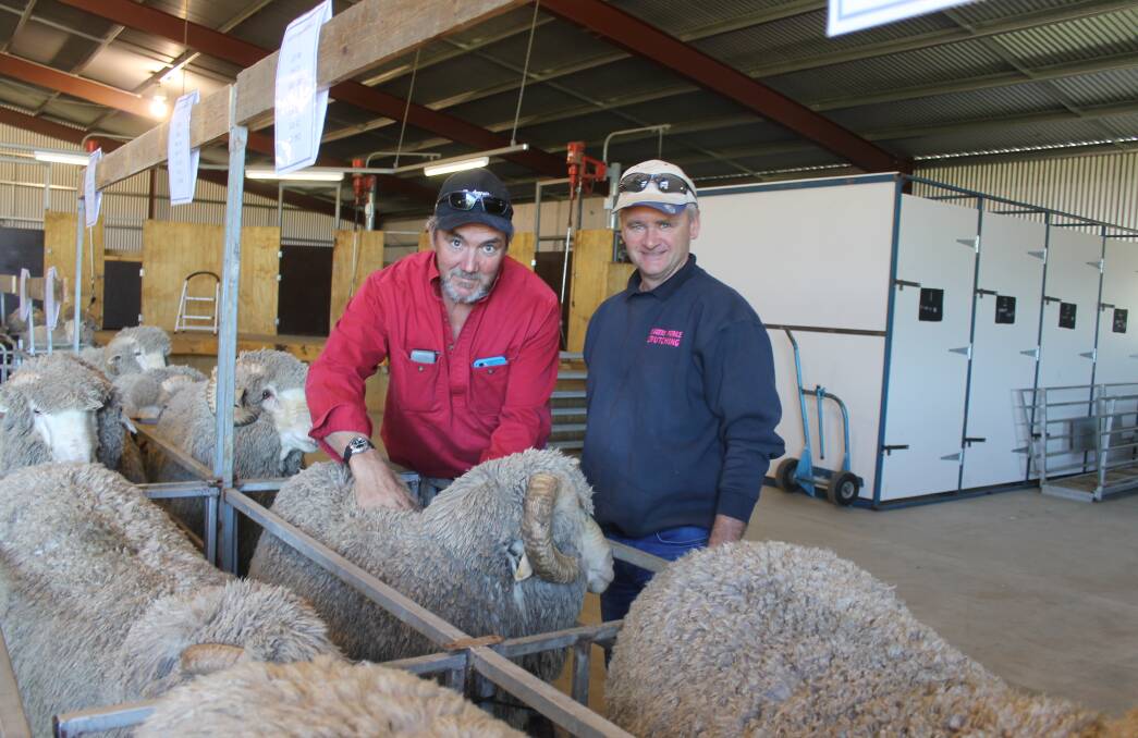 Stawell visitors, Phillip Slorach, Blue Hills, and Michael Dignam, Bushy Park, went to Boorana to check out the Merinos on offer. 