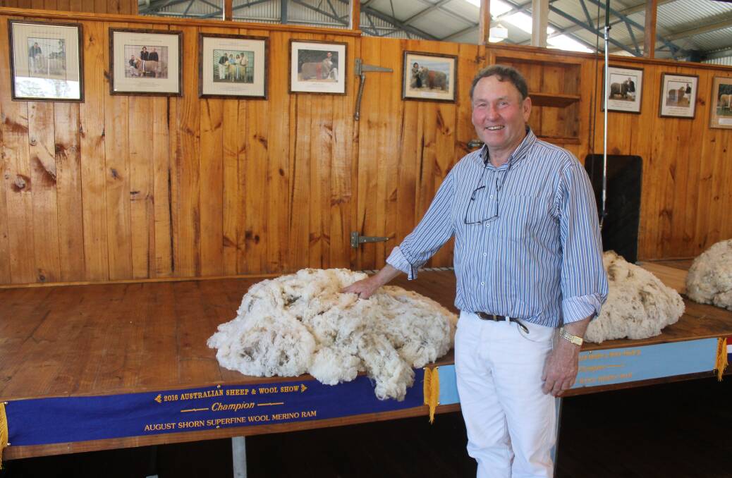 Montrose Hill's George McKenzie displayed winning fleeces, along with the rams on offer.