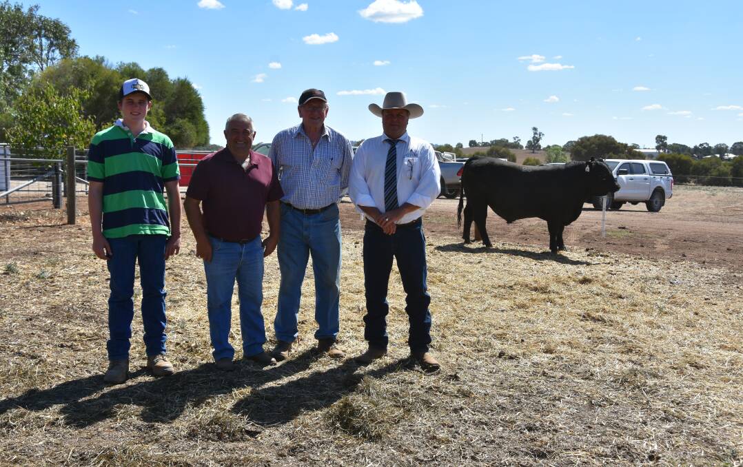 TOP SELLER: Top-priced bull buyers Carter Evans and Phil Callus, ‘Calview’, Laceby, with Witherswood Angus stud principal John Woodruff, and Glasser Total Sales Management auctioneer Michael Glasser, with the top-priced bull, Witherswood Kingdom M0332, which sold for $12,000, at the stud’s 16th sale.