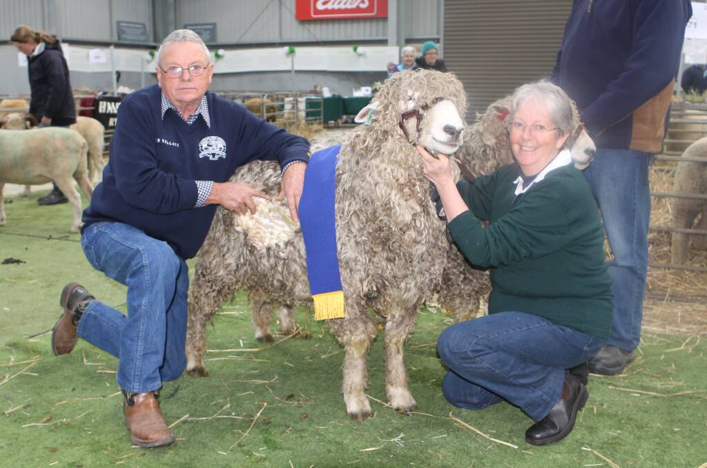 GARVALD LINCOLNS: Lincoln judge David Jackson shows off some of the prize-winning wool on the top Garvald ram, held by owner Rae Christie. 