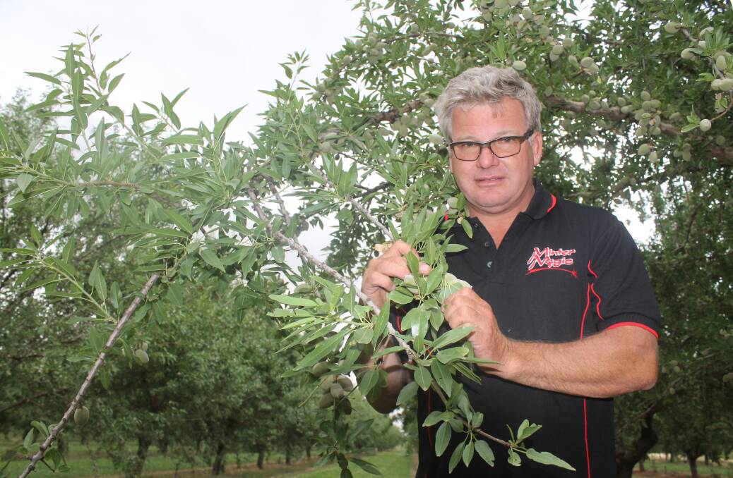 CROPPING DIVERSITY: Darren Minter said almonds allowed him to diversify his farming operation.