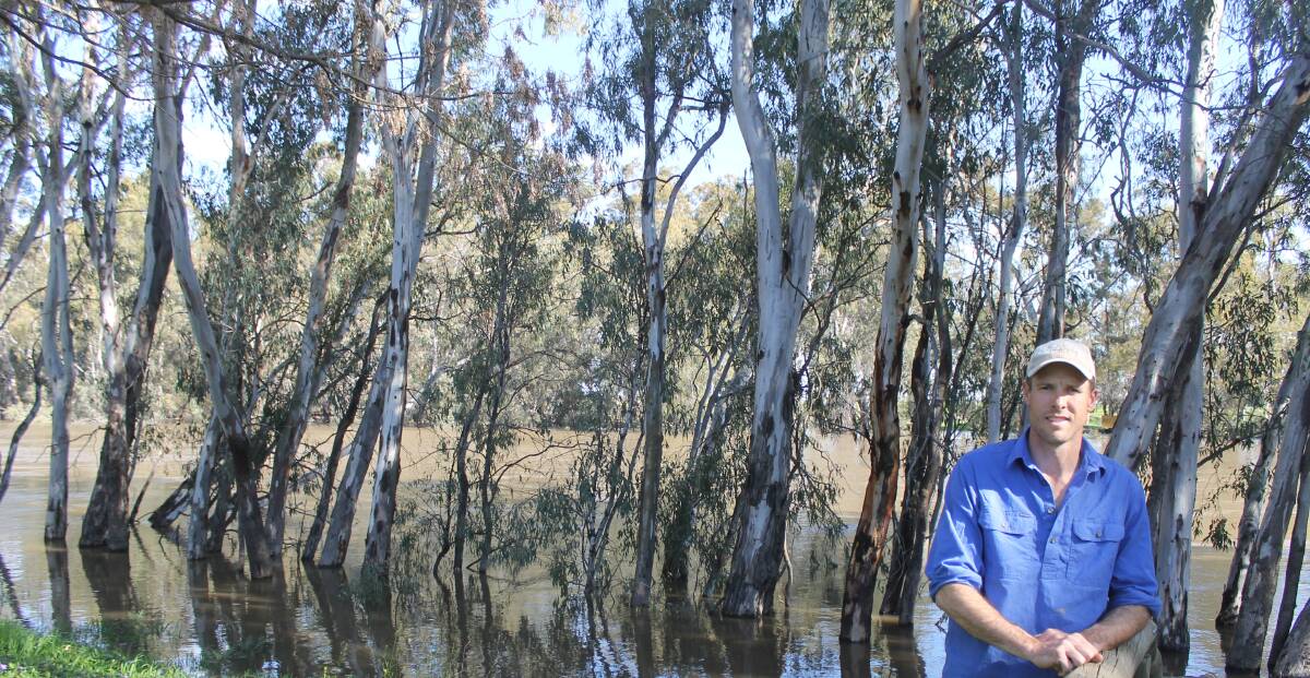 MURRAY FLOWING: Good rainfall has filled the Murray River and other regional waterways, and Simon Ettershank said he hoped it would result in more reliable irrigation allocations this year.