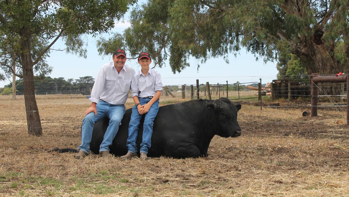 Phil and Lochie McLachlan, PJ CATTLE CO, Glenormiston, taking a rest on one of their Double Vision bulls. PJ had a great day with new and repeat buyers coming through, with 3 Double Vision sons being sold.  