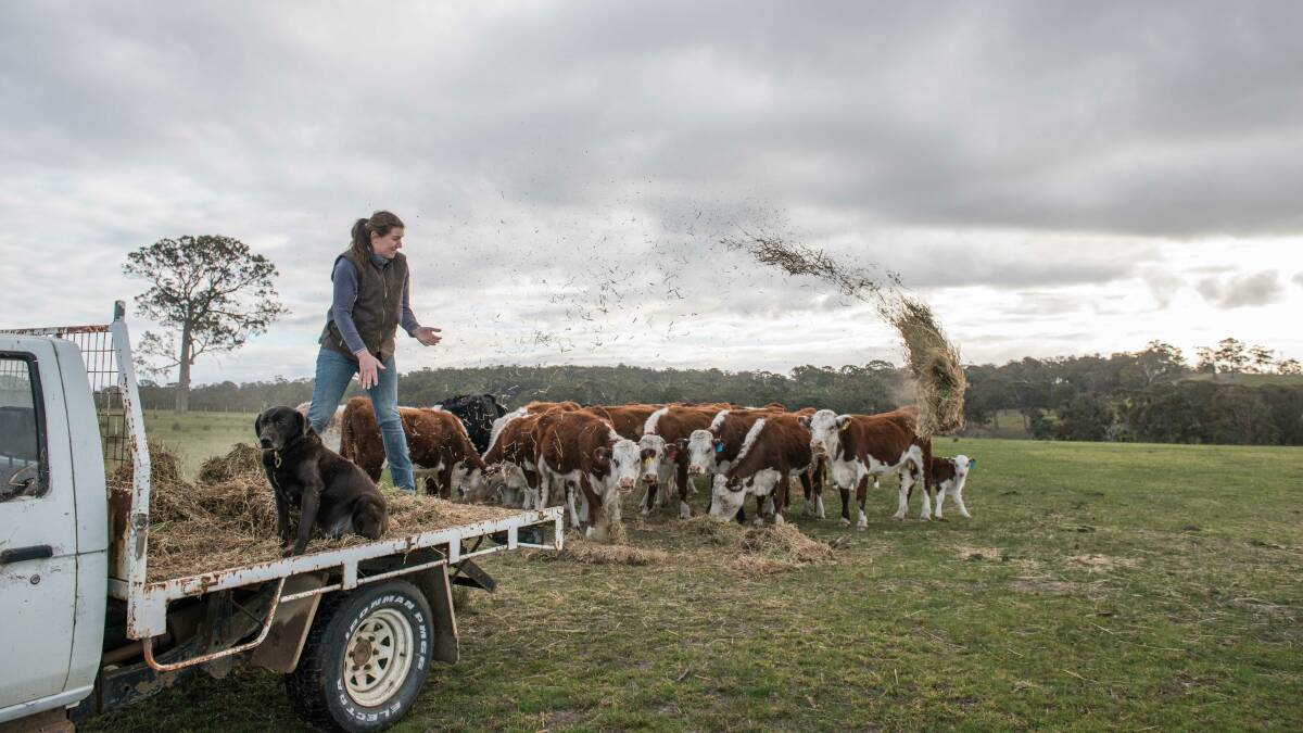DRY TIMES: East Gippsland farmers are now eligible for further State government cash payments, to help them through the current drought.