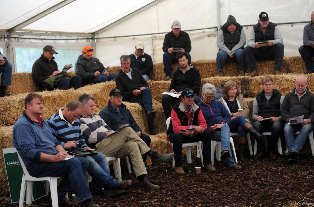 RAM BUYERS: Buyers at the annual Glendemar sale, Marnoo.