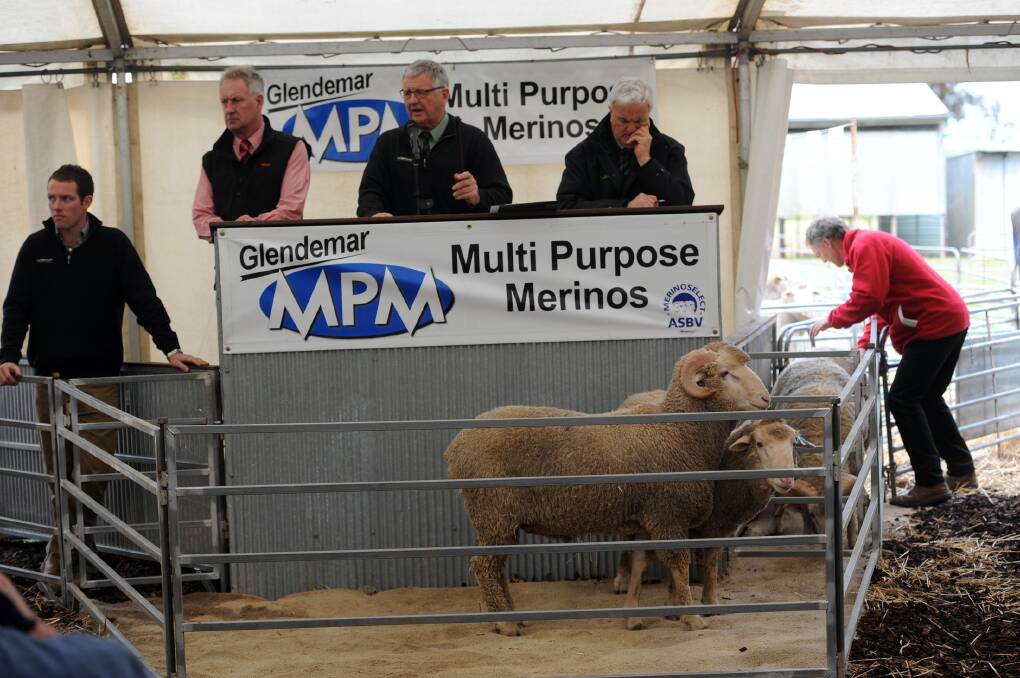 AUCTION PANEL: Auctioneers Mark Swanton, Andrew Sloane and Ray Attwell selling rams at Glendemar.