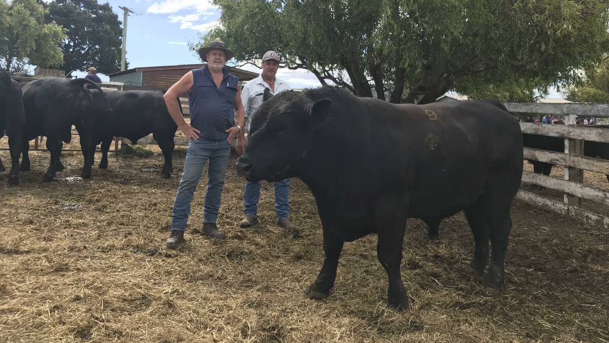 TOP BULL: Quarter-Way Angus stud, Scottsdale, Tasmania, sold this bull for $10,000, pictured with stud principal Trevor Hall and buyer Chris Hall.