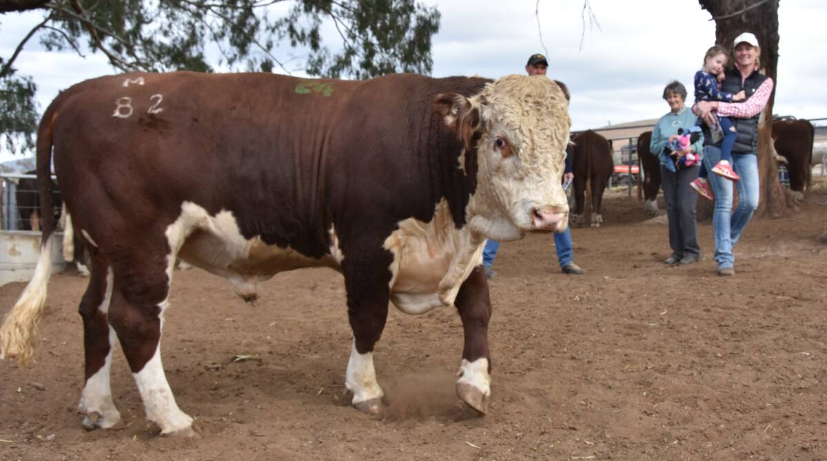 BENAMBRA BOUND: The top-priced bull with Joe Connley, Pauline Connley, Trudy Connley and Sylvia Connley, 5, following Nunniong Hereford stud's bull sale.