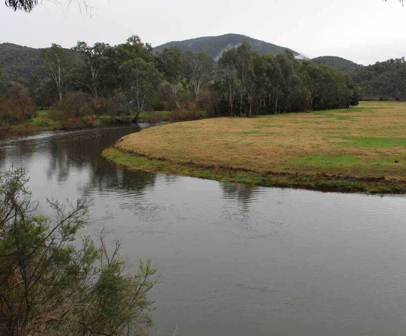 JULY RAIN: The Mitta Mitta River near Tallandoon, downstream of Dartmouth Dam, when the flow was 3,700 megalitres per day. Late last week, Murray Darling Basin storages stood at 519GL, or 46 per cent capacity. 