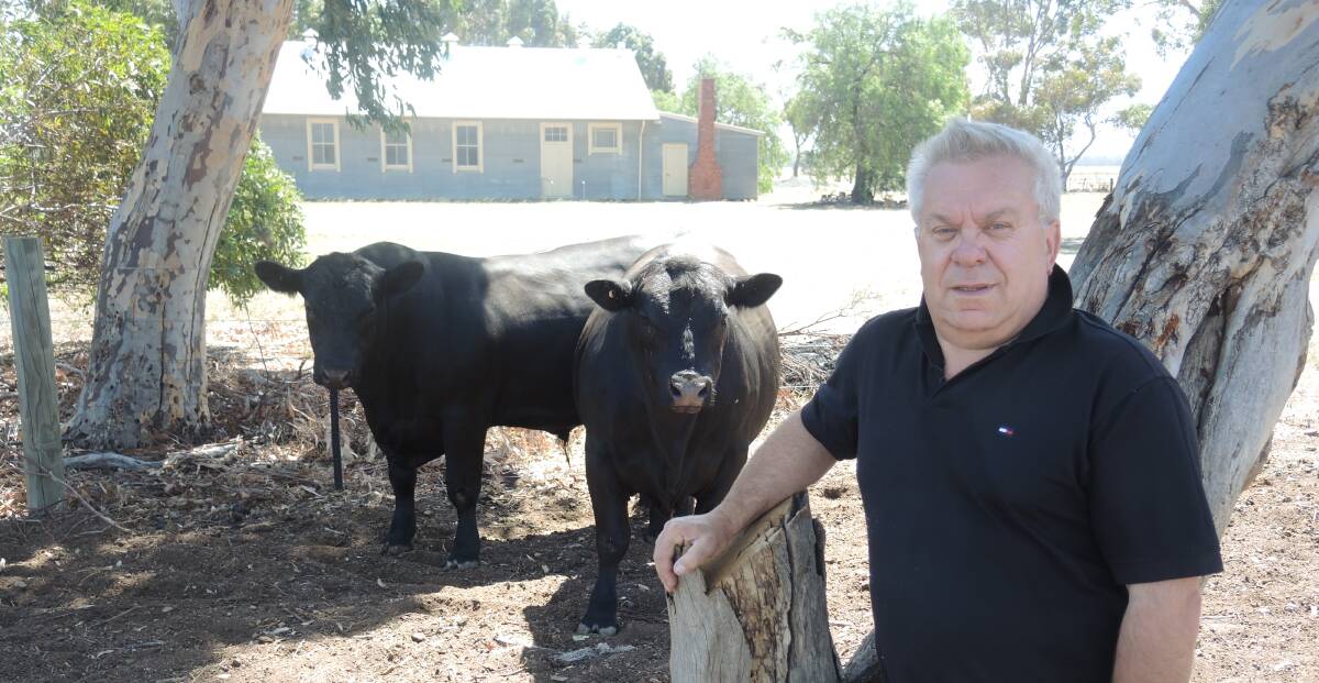 MERRIBROOK: Graeme Collins in front of his Angus cattle. 
