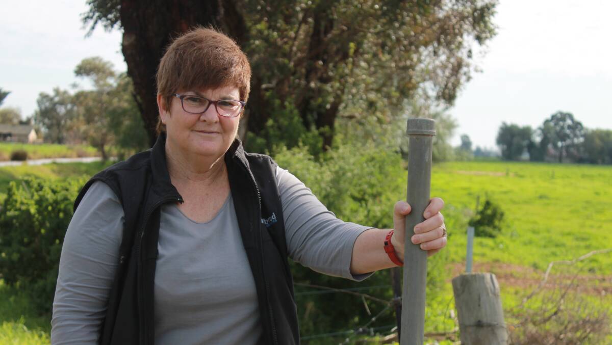 COLES SCEPTICISM: Bamawm dairy farmer Ann Gardiner said while she was sceptical about the Coles Farmers Fund milk, she would apply for a grant, under the program.