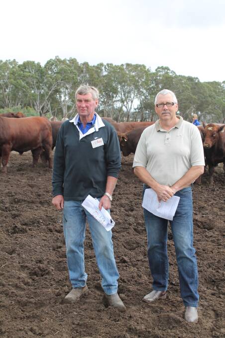 Beef Week is a major event for the Brook family, ELOORA, Cavendish in terms of marketing their bulls according to co-principal Ray Brook as it allows them to display their bulls for private treaty, Dubbo National and Naracoorte sales. Mr Brook is pictured with return buyer Jeff Spencer, Karangteen, Cavendish who was inspecting some of the bulls available for private sale. Family spokesman Dion Brook said they had sold seven bulls prior to smoko and was expecting to move more before the day ran out.
