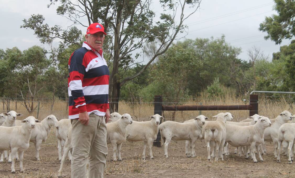 AUSTRALIAN WHITES: Bruce Hodgson, said he was producing Australian Whites. because they were an "easy care" animal. Photo: Andrew Miller.