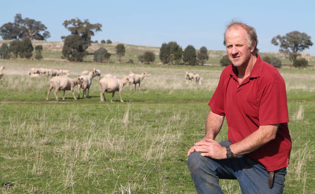 KERRILYN BLOODLINES: Kieran Flood said he liked what he saw at the Australian Sheep and Wool Show.

