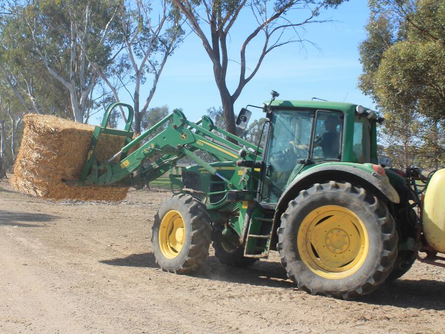Dry conditions and a lack of irrigation allocation have meant Mick Shepard has had to buy in hay.