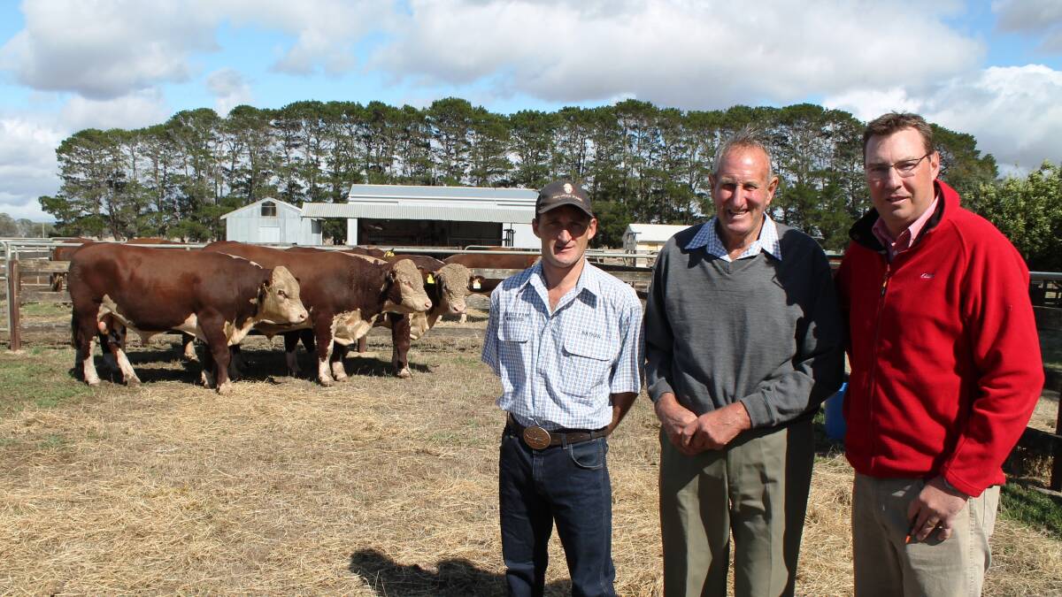 There was a real buzz around David Lyons’ MELVILLE PARK stud, Vasey as the first crop of calves by the $90,000 Days Calibre G74 (P) were available for inspection. These calves are the headline act for their 33rd annual sale on Monday, February 29. Nathan Roberts and David Lyons of MELVILLE PARK with Ross Milne, Elders Stud Stock, Hamilton were pictured inspecting some of the sale bulls. 
