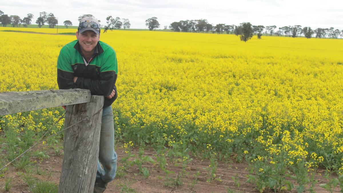 NUISANCE FALLS: Nurcoung cropper Xavier Breen has just finished windrowing his canola, but said the rain was more nuisance value than help. PHOTO: Andrew Miller.