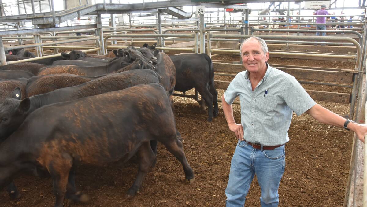 TOP PEN: Murray Howard, Beeac, with the top priced pen at the annual Colac weaner sales. 