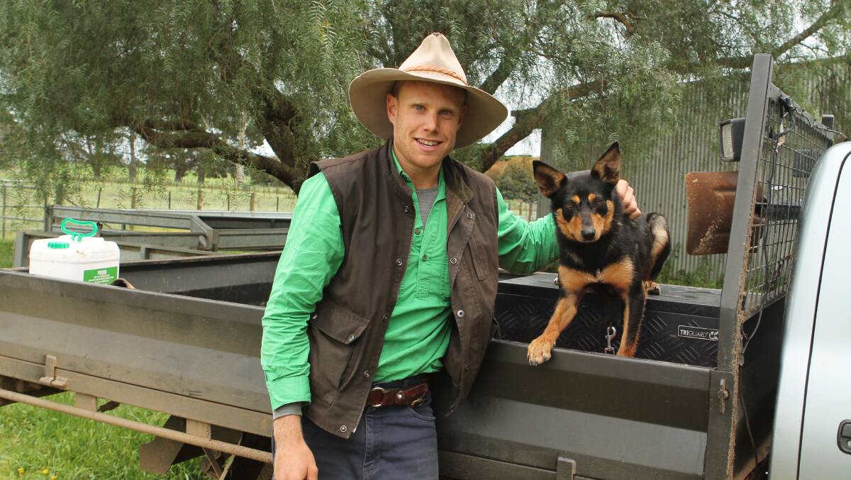 STUDY PLAN: Oli Vidor, 26, here with his dog Pippa, has found tertiary studies particularly helpful, in his role at Mount Elephant station, Derrinallum.