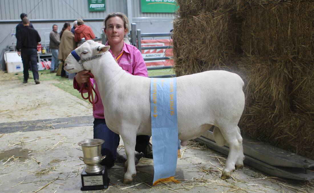 WHITE DORPER: Andrea van Niekerk with the winning White Dorper, the 13-month-old Weapon, which took out the Grand Champion ram ribbon as well as the overall Supreme Champion trophy. PHOTO: Andrew Miller.