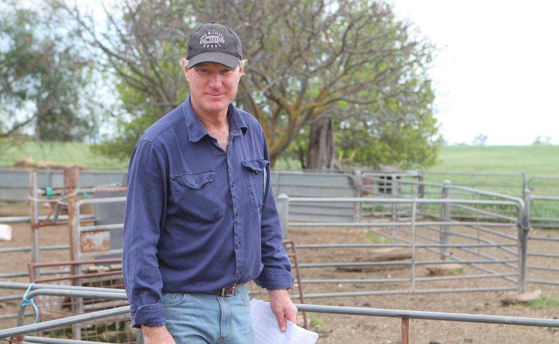 PRIME LAMB: Geoff Davies has been a regular buyer of Vortex White Suffolks, for his prime lamb operation, near Benalla, believing their lambs were easier on the ewe, at lambing, particularly over maidens. PICTURES: Andrew Miller.