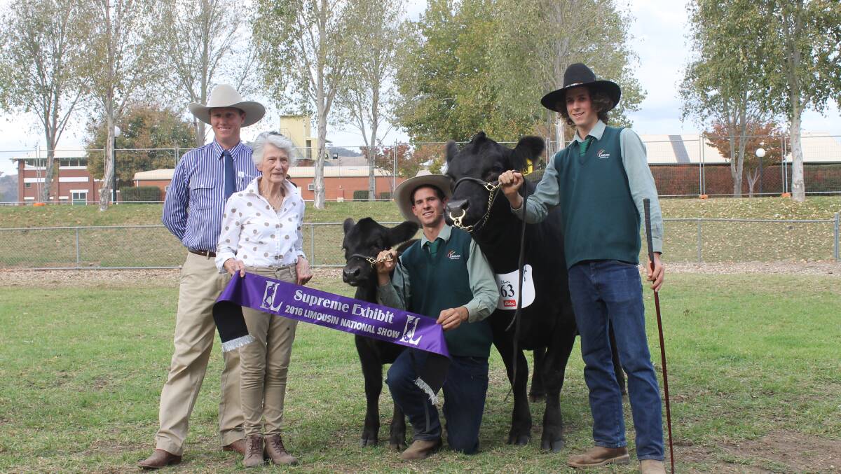 LIMOUSIN WINNER: Judge Steven Pearce, Annette Tynan, Mason and Bentley Galpin, with the Supreme Exhibit cow and calf unit, Warrawindi Krystal Gem K15. Picture: Andrew Miller.
