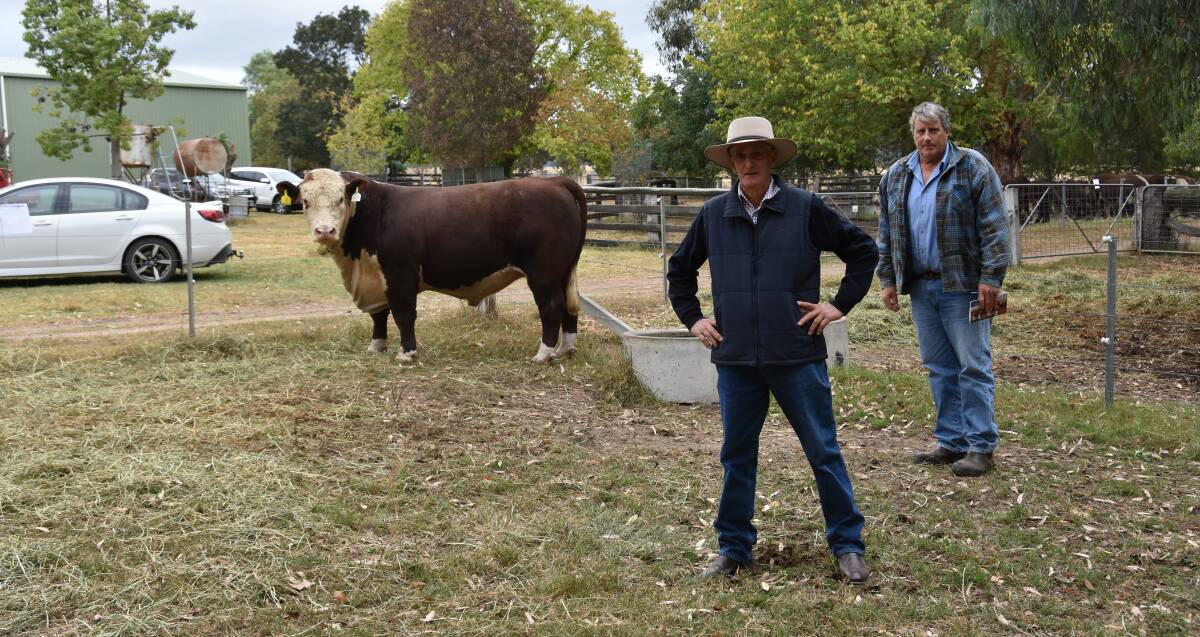 DRY TIMES: Dry times didn't deter buyers at this year's Newcomen Herefords sale, according to stud principal Barry Newcomen, with the buyer of the top-priced bull Graeme Belcher, Woodside, and the sale topper, Newcomen Maestro.