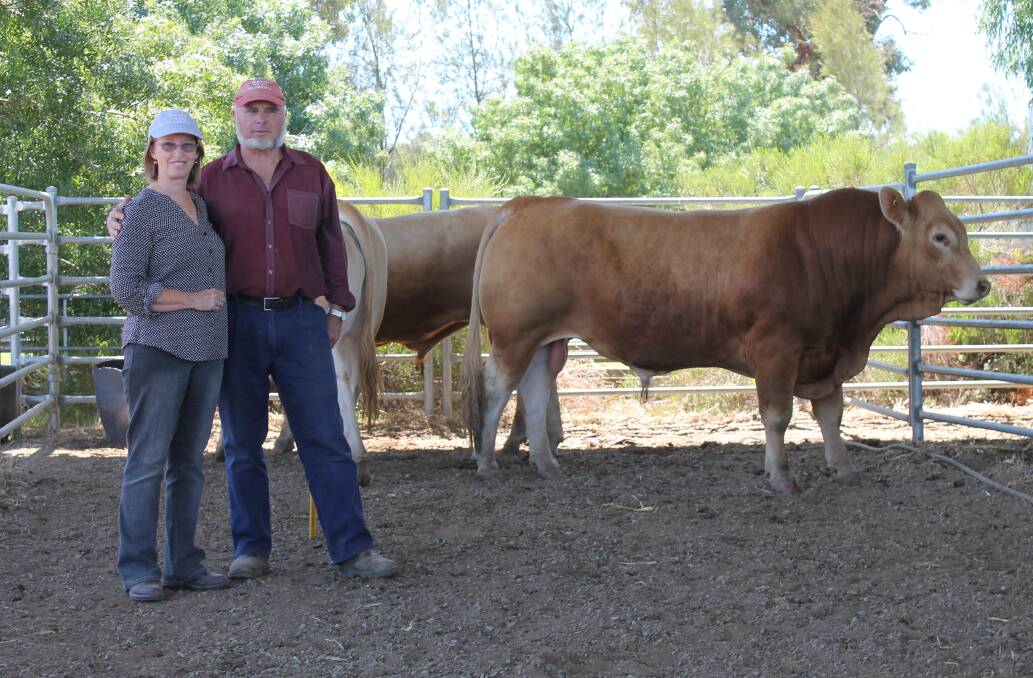 RUPARI: Geoff and Linden Roberts, were pleased to show people the first drop of calves by Rupari Joiner. 