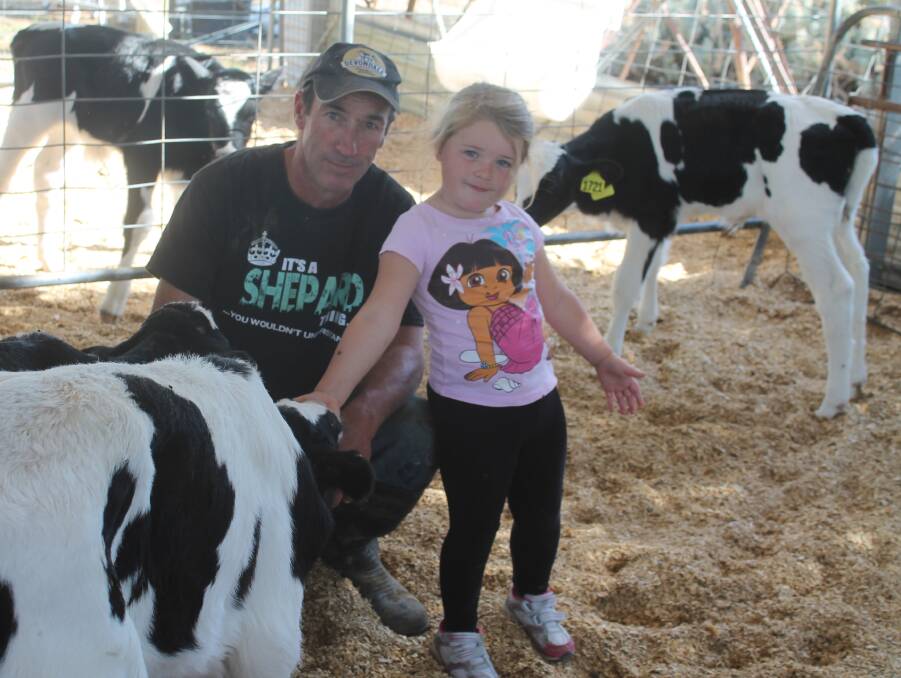 Mr Shepard and his daughter, Ruby, 3, in the calf pen at Silverholme, Tragowel. 