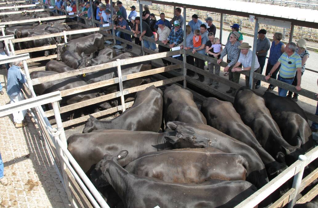 SALE TRANSPARENCY: The Victorian Farmers Federation (VFF) Livestockers group said it was losing patience with moves to improve transparency at saleyards.
