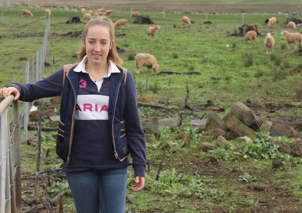 Katherine Bain provides the rams for her family's St Enoch property, Stockyard Hill, through her on-farm stud, which she started when she was 14. 