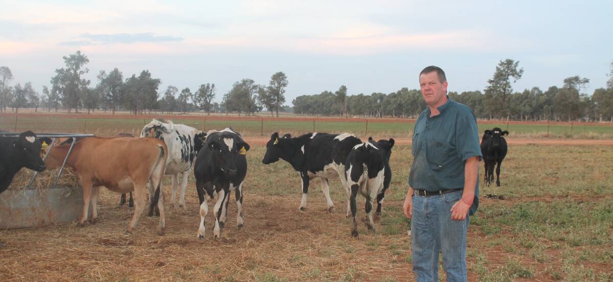 PRODUCTION TARGETS: The farm has a calving pattern of seven batches a year, using AI on both cows and heifers, with sexed semen.
