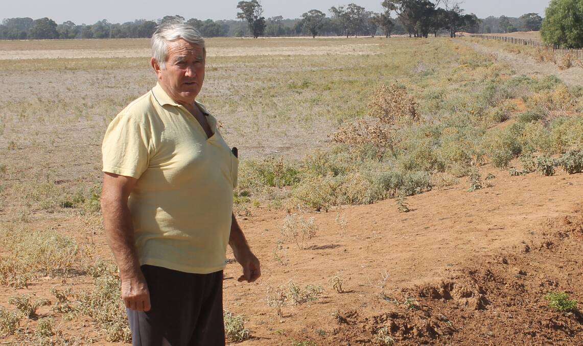 HORRIFIC EFFECTS: Fernihurst mixed farmer Ken Pattison said the MDBA had realised the socio-economic ramifications of reducing water available for irrigation were “horrific".

