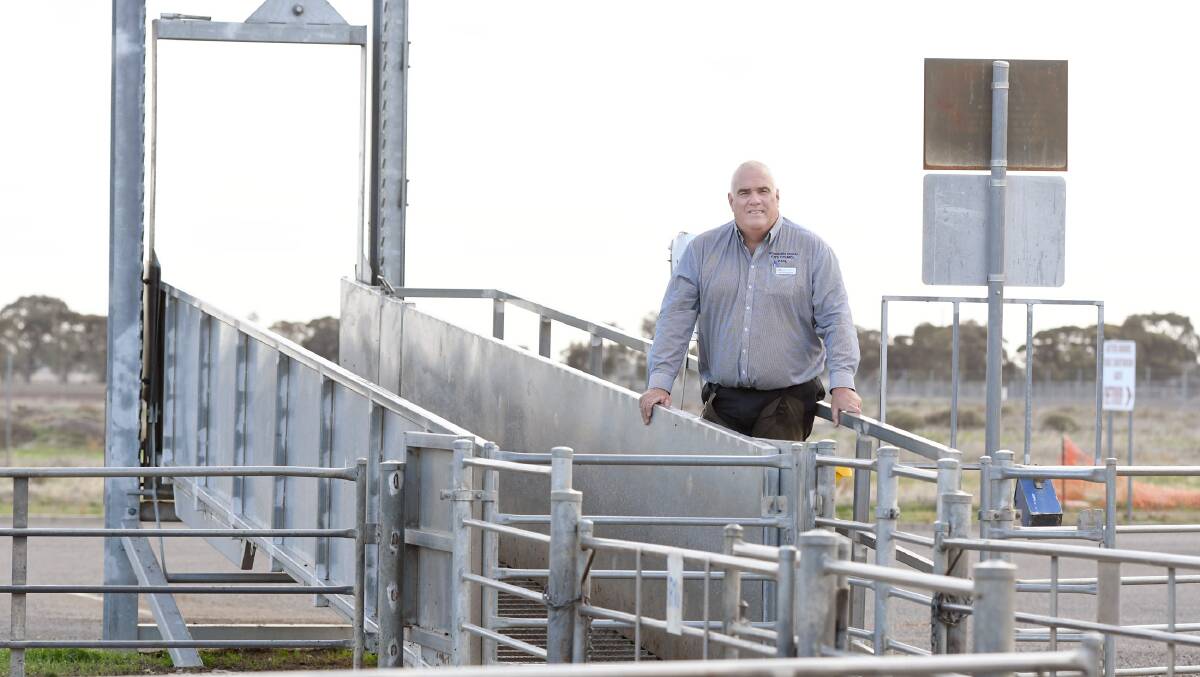 NEW STANDARDS: Horsham Regional Livestock Exchange manager Paul Christopher is right behind a new Australian standard for loading and unloading ramps and forcing pens. Photo by Samantha Camarri.
