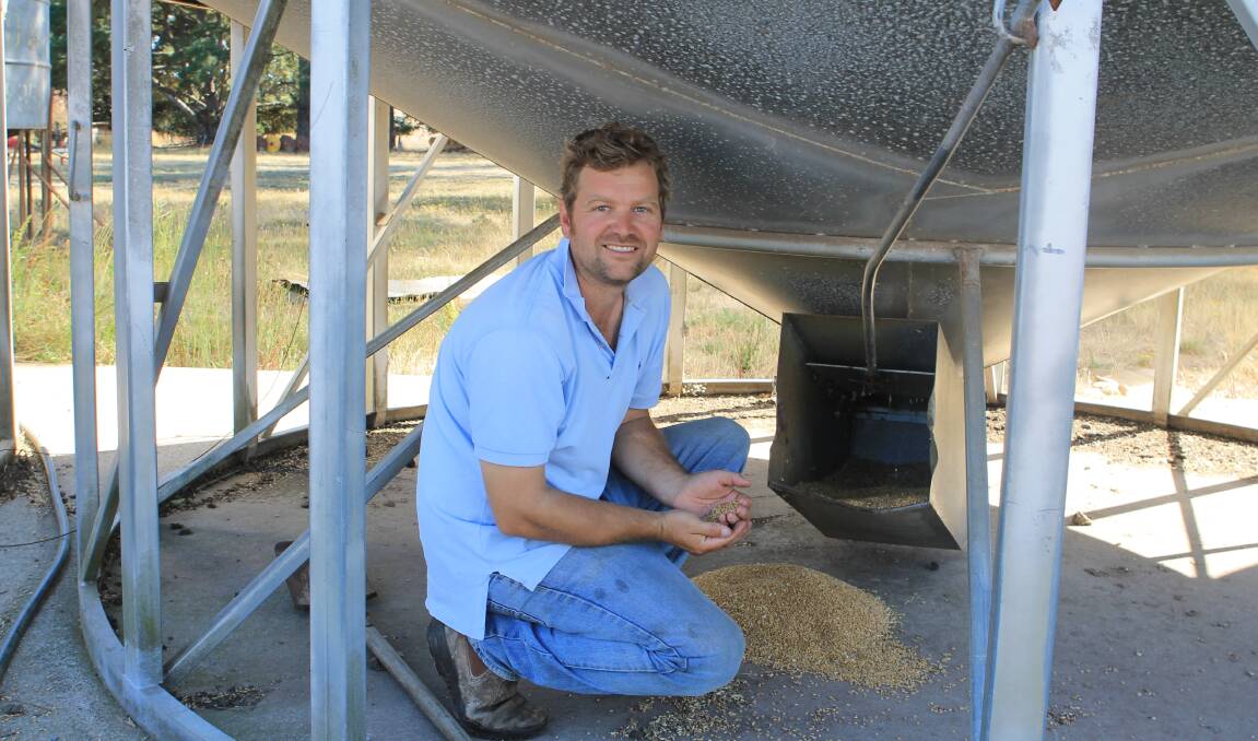 CROP STORAGE: Brent Herrmann, with some of the 1000 tonnes of Manning wheat, stored on property; the cereal yields varied, from paddock to paddock. Photos: Andrew Miller.