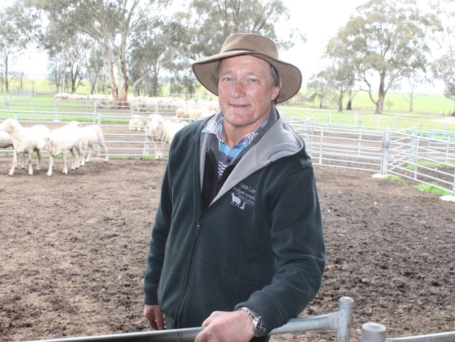 PRODUCTION SWITCH: Dunluce prime lamb producer Alan Weir started out as a wool grower. 