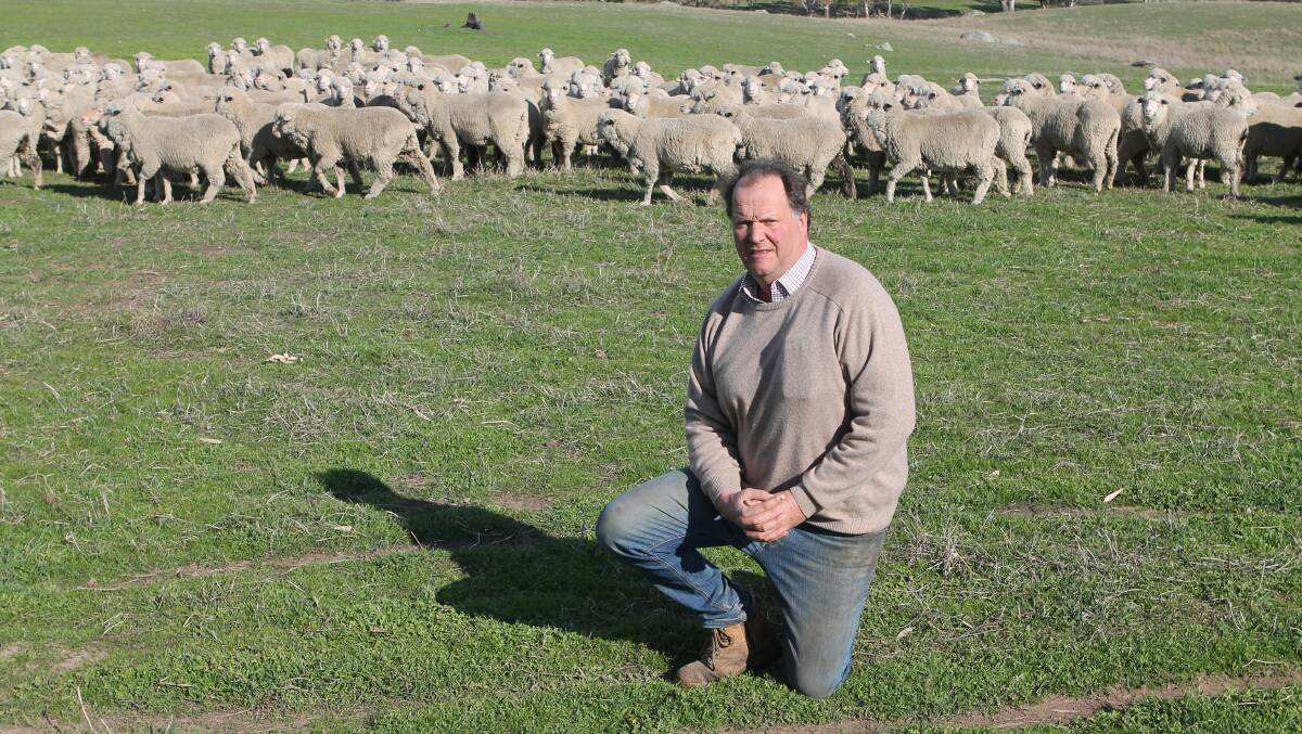 PAYING DIVIDENDS: Staying with superfine wool production has finally paid dividends, according to Mr James.

