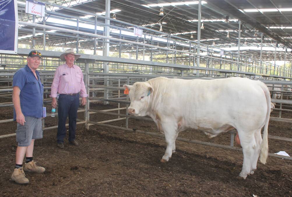 Top: Buyer Greg McGrath, Jeetho, and principal Daryl Jenkins with the sale topping bull Violet Hills Kidman.