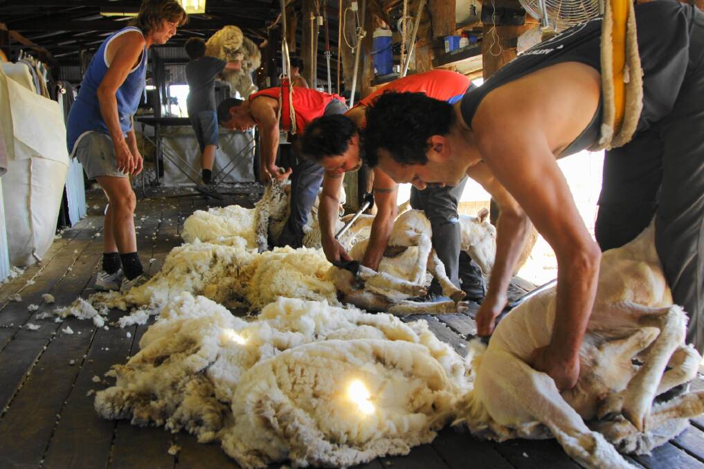 As wool harvesting gets underway in many parts of Australia, all eyes are on a recovery in domestic and global consumer demand to help improve prices for the natural fibre. 