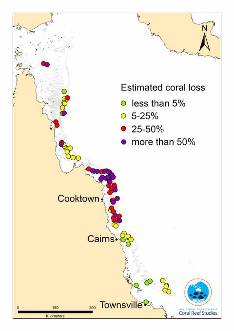 Map of mortality estimates on coral reefs along 1100km of the Great Barrier Reef.