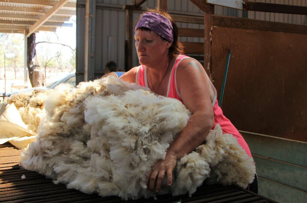 Classer Jackie Garden casts her eye over one of the ewe fleeces being shorn at Bill and Julann Chandler's Barcaldine property.