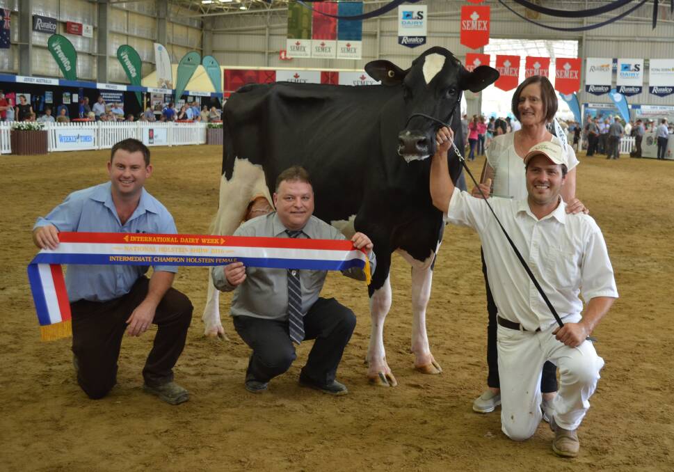 Intermediate Holstein champion, Paringa Fever Open, with Luke Russell, DLS; judge Pierre Boulet; Canada, owner Pam Malcolm, Invergordon, Vic, and leader Cameron Bawden, Drouin, Vic.